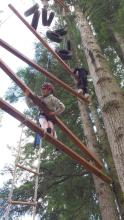 children climbing a tree
